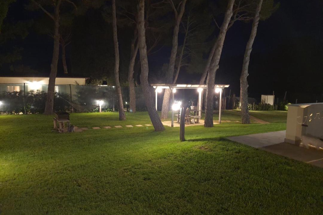 Photo of Others in Piombino