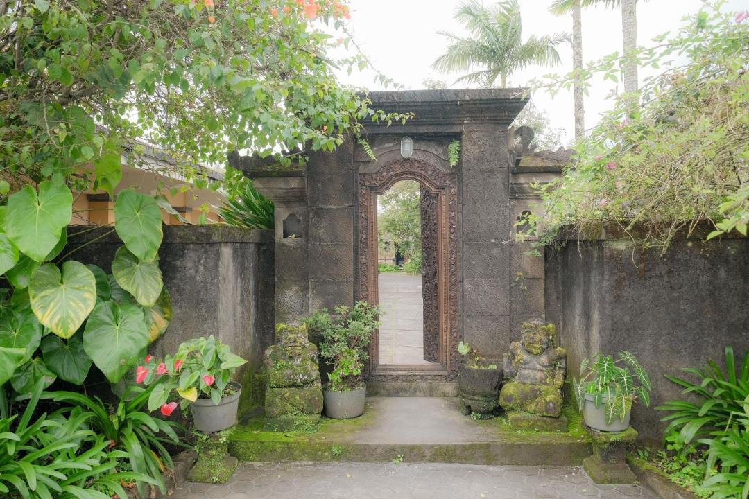 Photo of Others in Candikuning