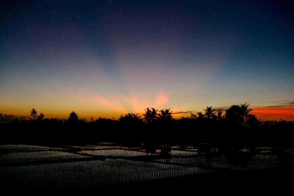 Photo of Others in Kediri