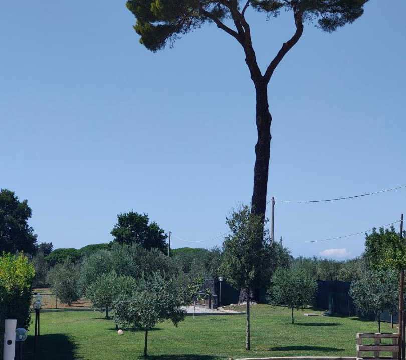 Photo of Outdoor in Cecina