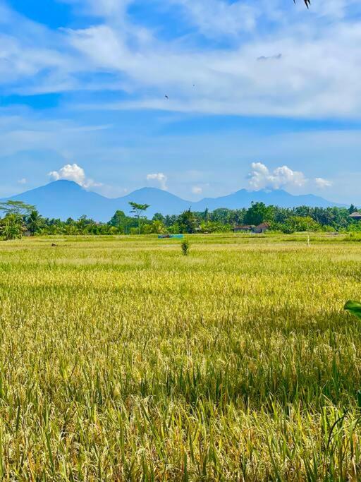 Photo of Outdoor in Lodtunduh
