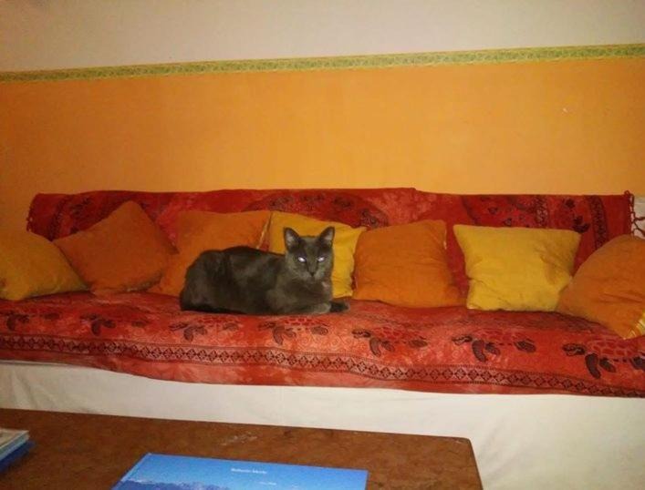 Photo of Livingroom in Viareggio