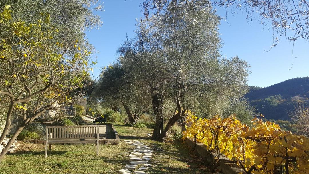 Photo of Outdoor in Le Bar-sur-Loup