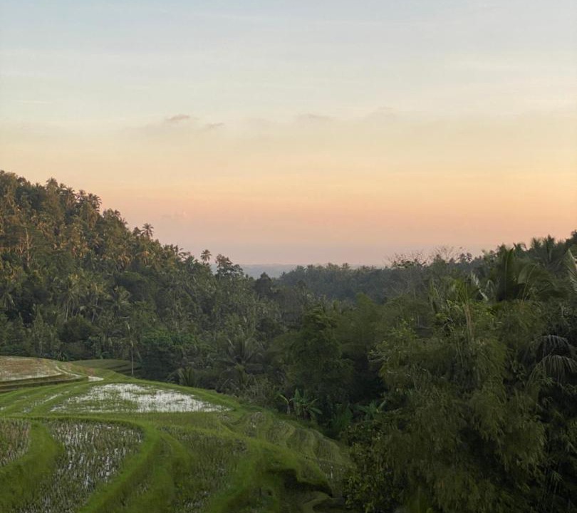 Photo of Others in East Selemadeg