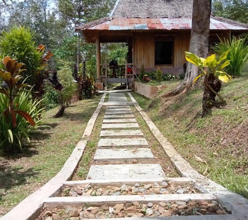 Photo of Others in Bukit Lawang