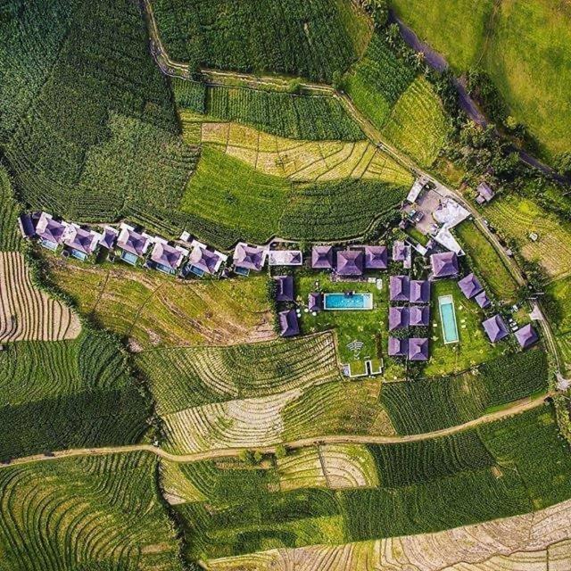 Photo of Others in East Selemadeg