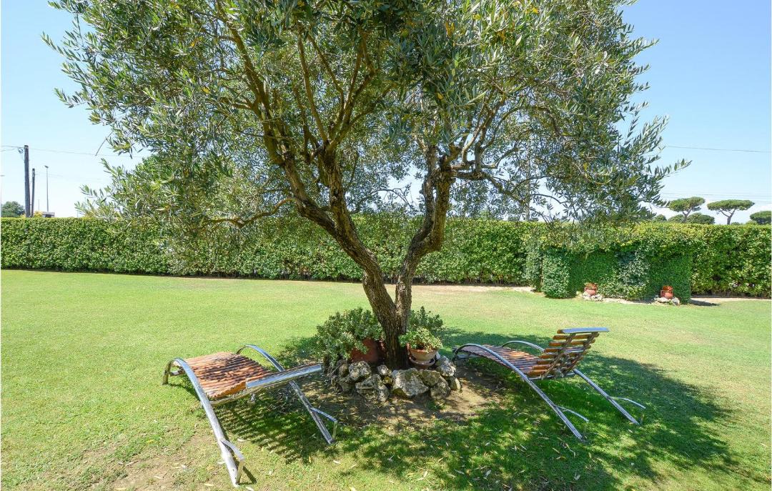 Photo of Outdoor in Lido di Camaiore