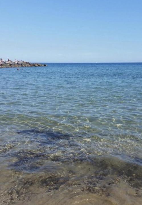 Photo of Others in Livorno