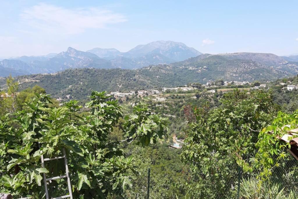 Photo of Outdoor in Saint-Blaise