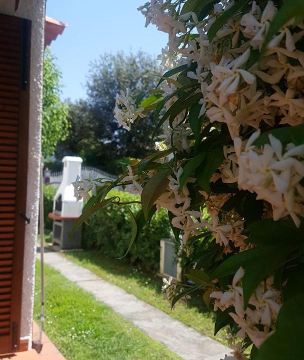 Photo of Others in Cinquale