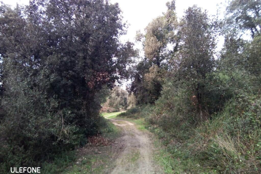 Photo of Others in Calambrone