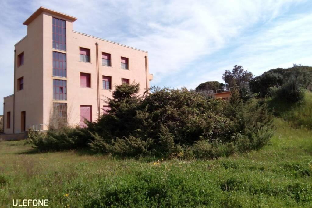 Photo of Others in Calambrone