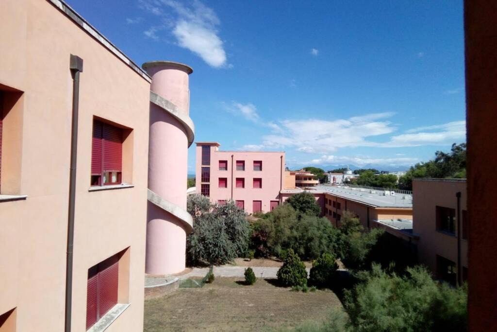 Photo of Others in Calambrone
