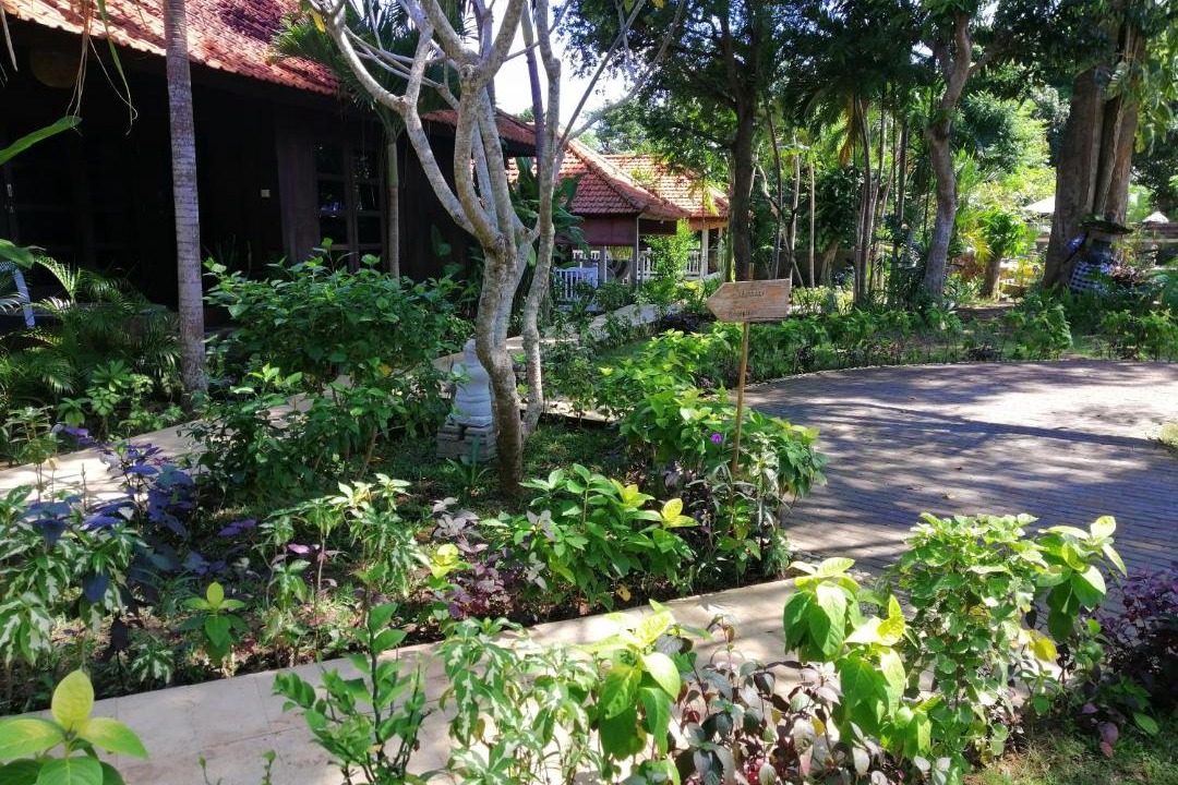 Photo of Others in Pecatu