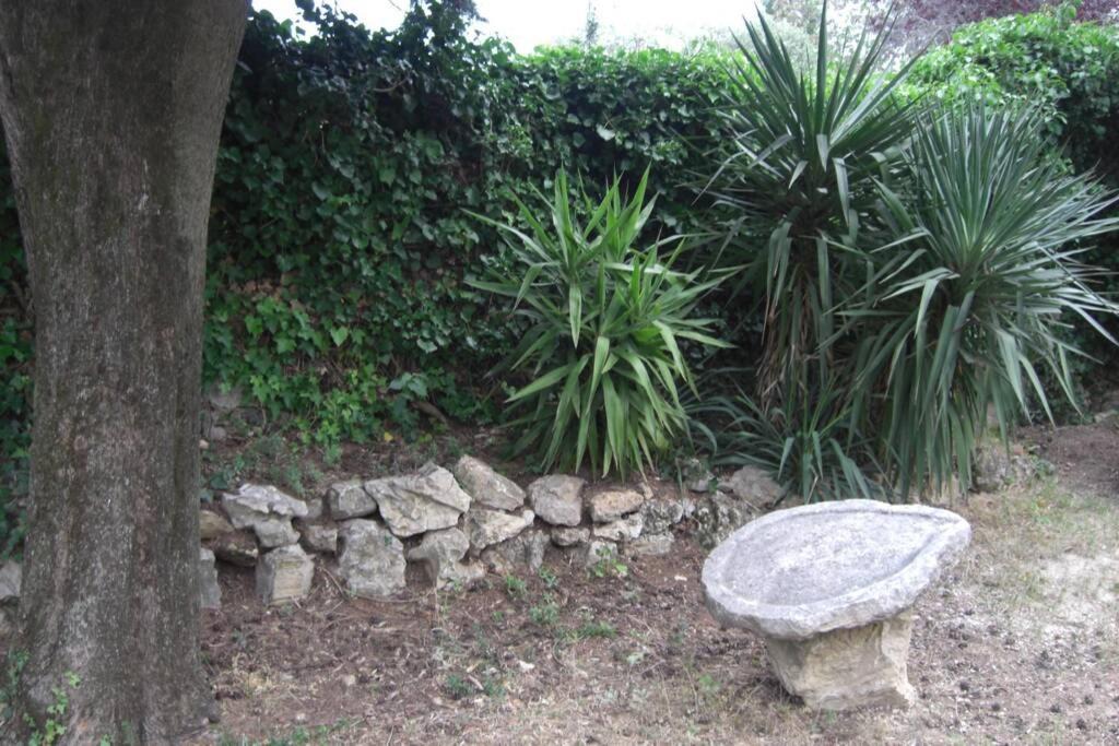 Photo of Others in Le Rouret