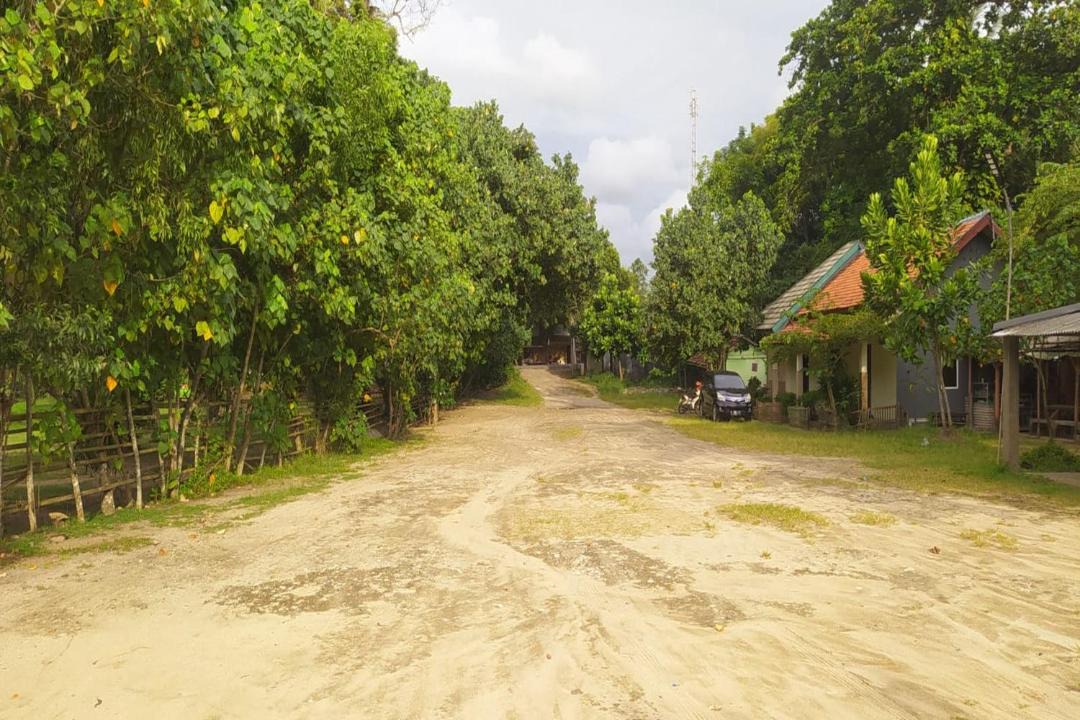 Photo of Others in Carita