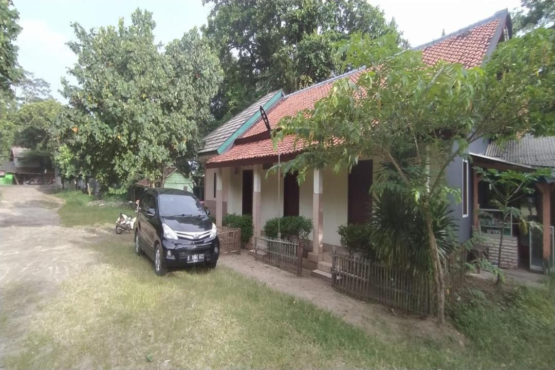 Photo of Buildings in Carita