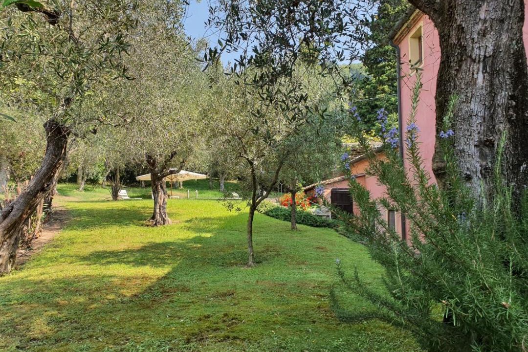 Photo of Others in Corsanico-Bargecchia