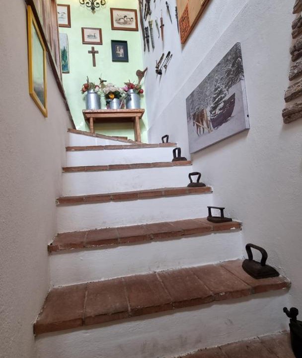 Photo of Others in Camaiore