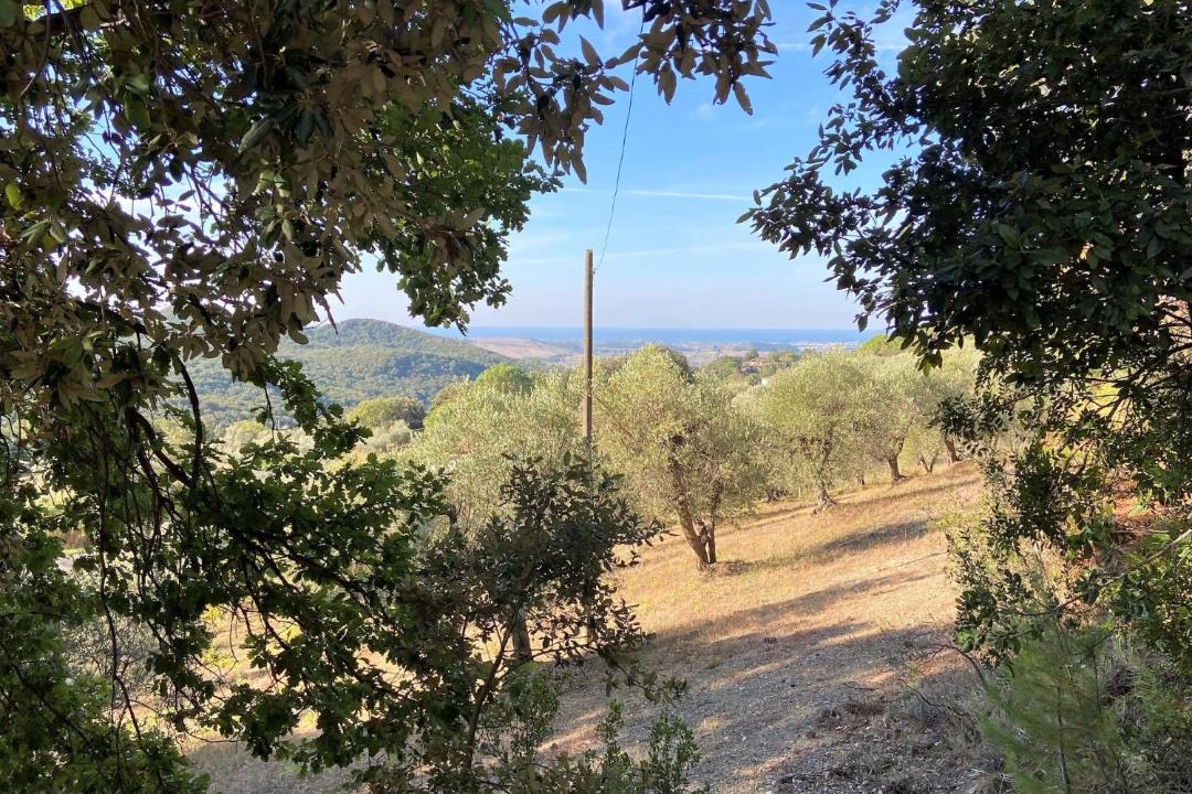 Photo of Others in Castellina Marittima