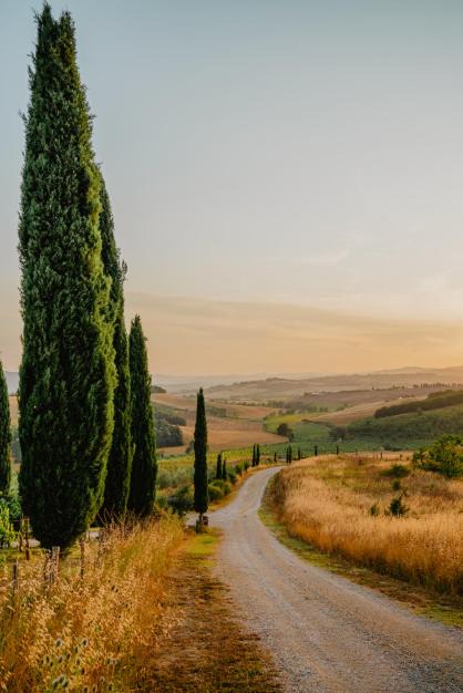 Photo of Others in Buonconvento
