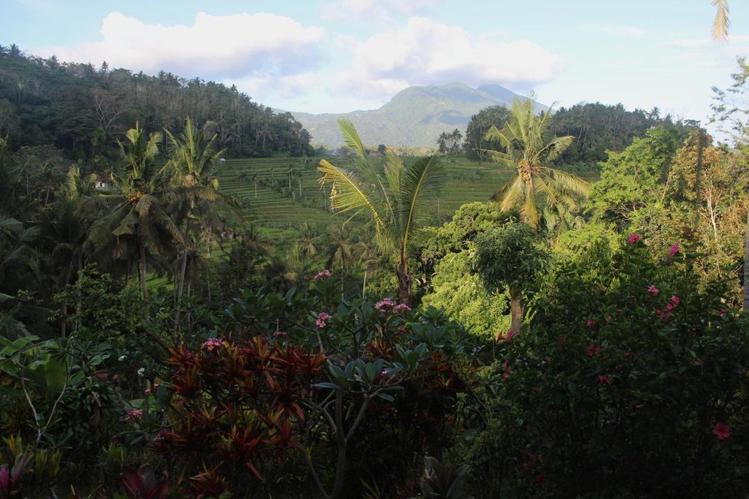 Photo of Others in Ababi