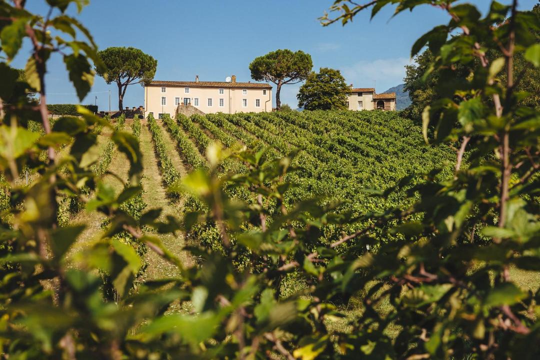 Photo of Outdoor in Capannori
