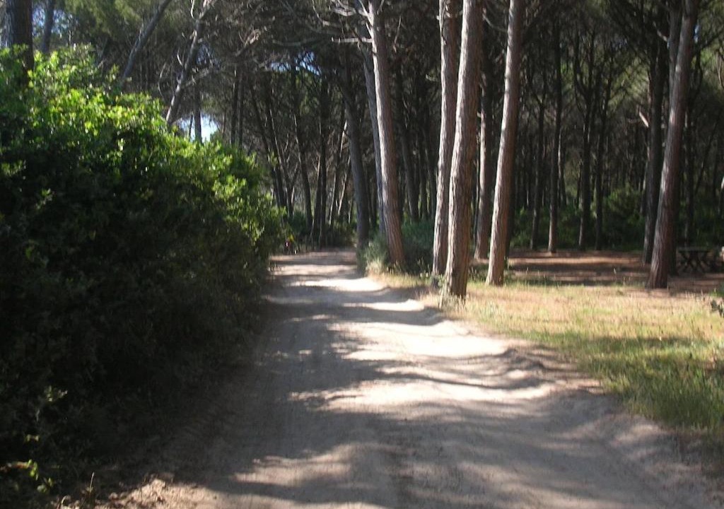 Photo of Others in Mazzanta