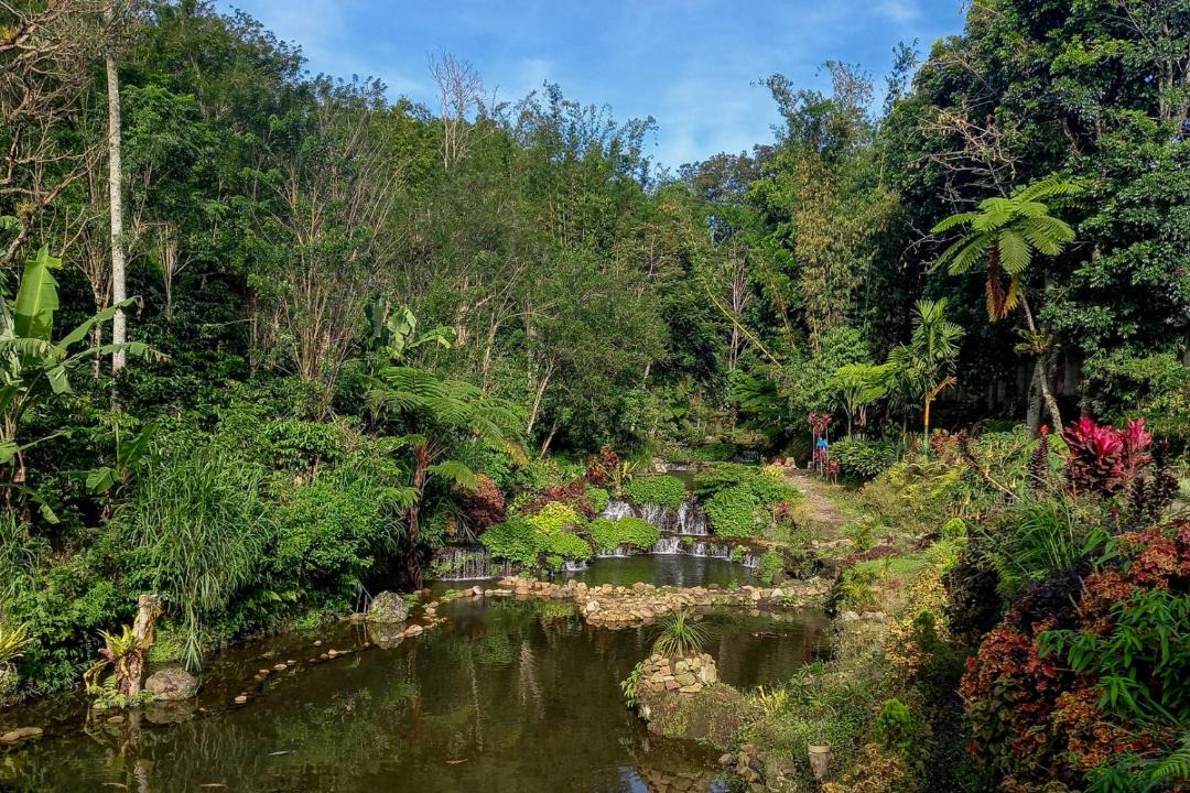 Photo of Others in Pagar Alam