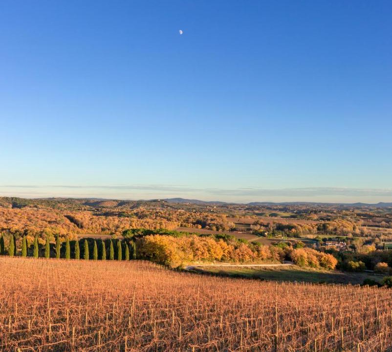Photo of Others in Castelnuovo Berardenga