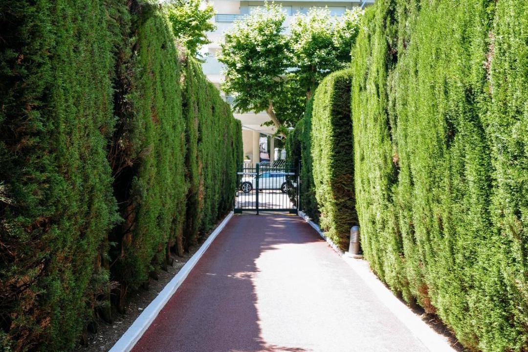 Photo of Others in Cannes