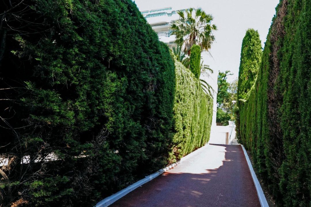 Photo of Others in Cannes