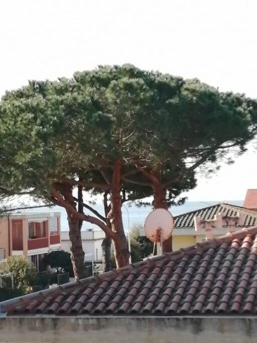Photo of Buildings in Follonica