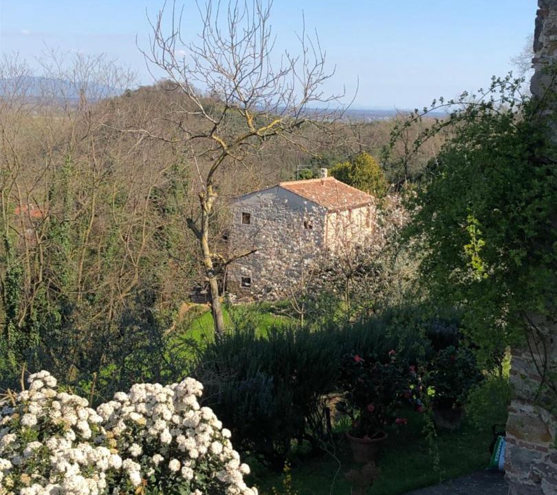 Photo of Others in SantʼAndrea di Compito