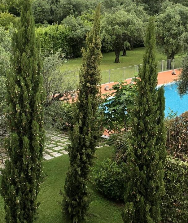 Photo of Others in Ripa-Pozzi-Ponterosso