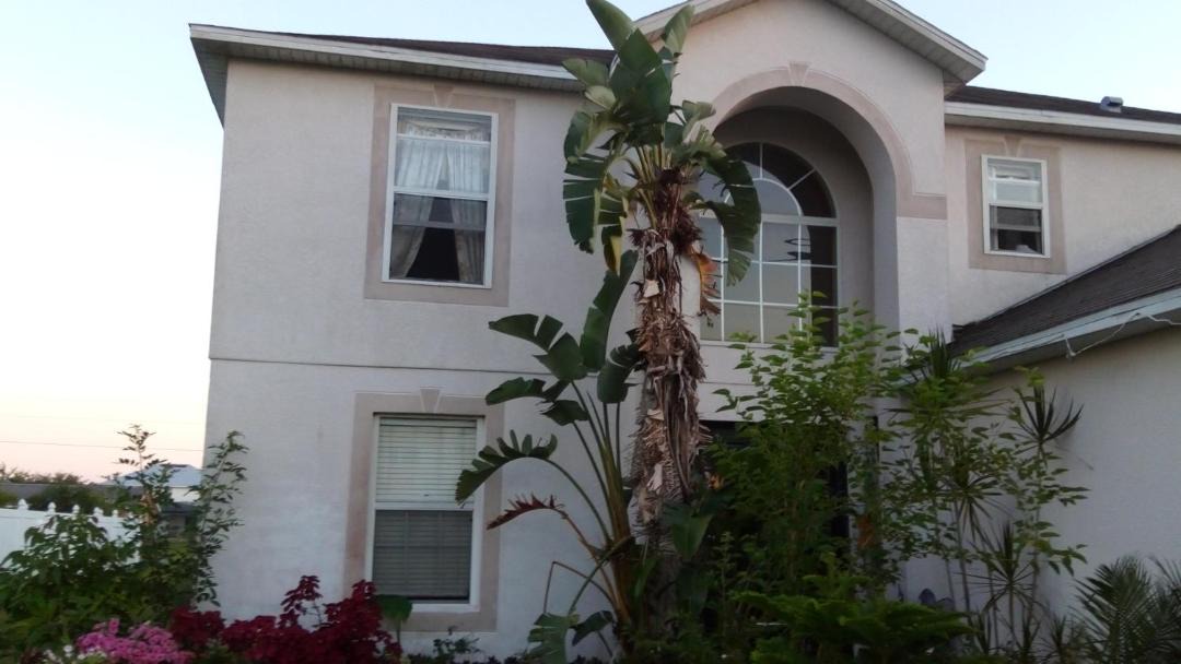 Photo of Buildings in Poinciana
