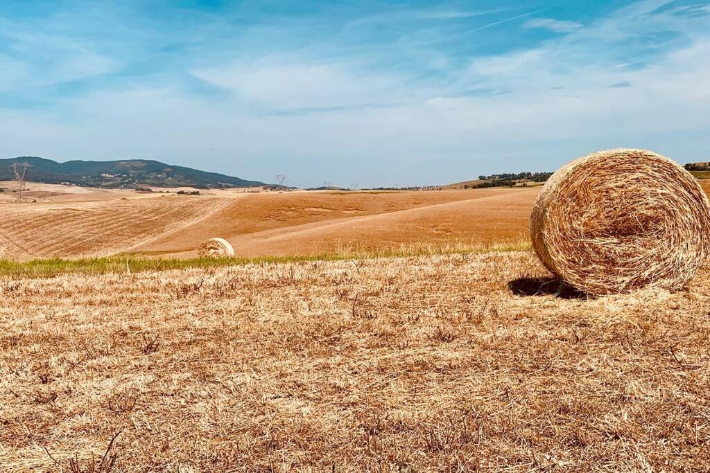 Photo of Others in Orciano Pisano
