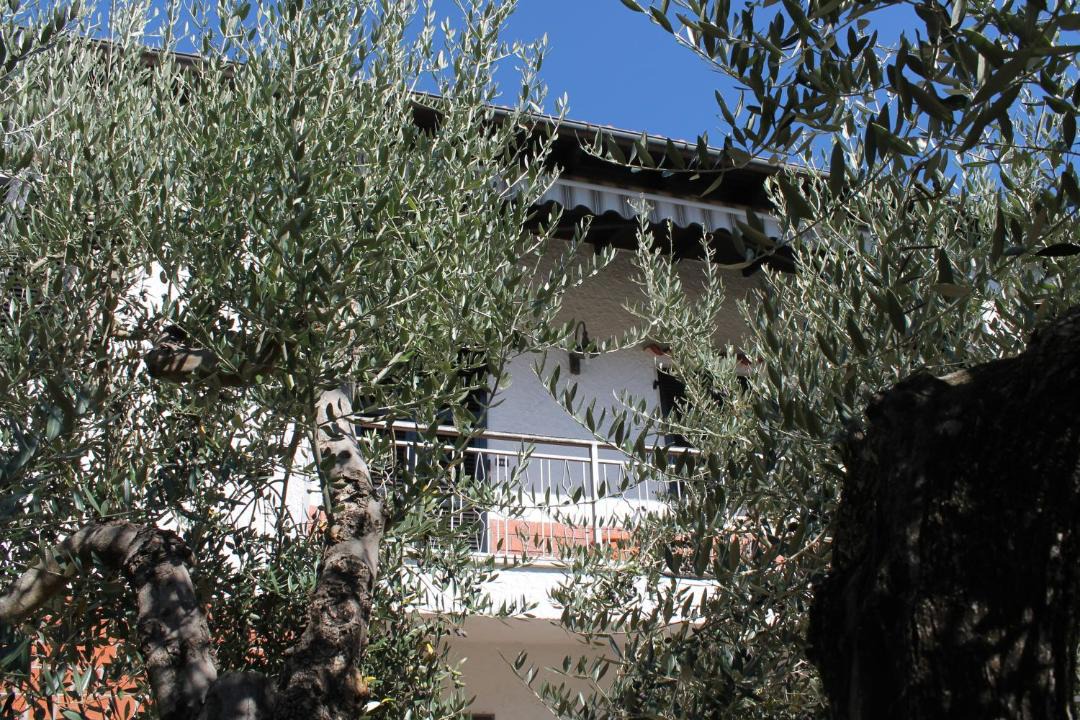Photo of Buildings in San Terenzo Monti