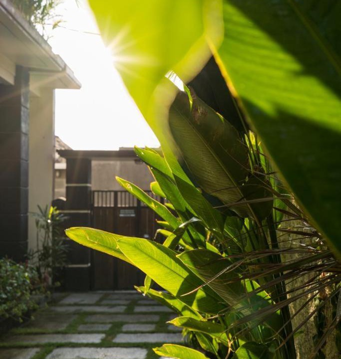 Photo of Others in Sanur Kauh