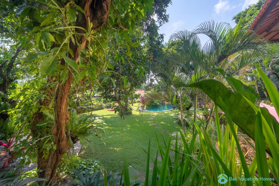 Photo of Outdoor in Rangdu