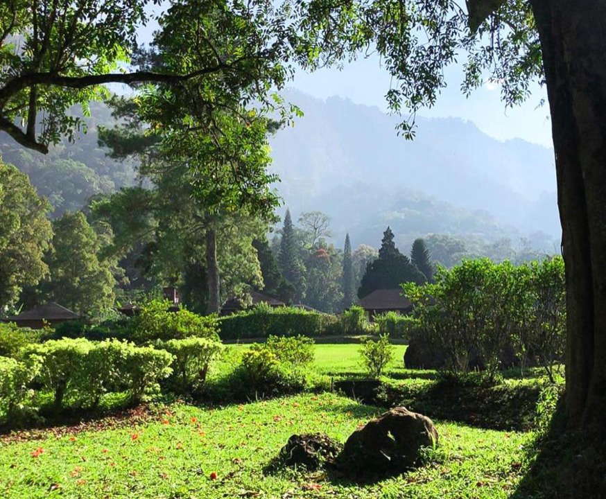 Photo of Others in Bedugul