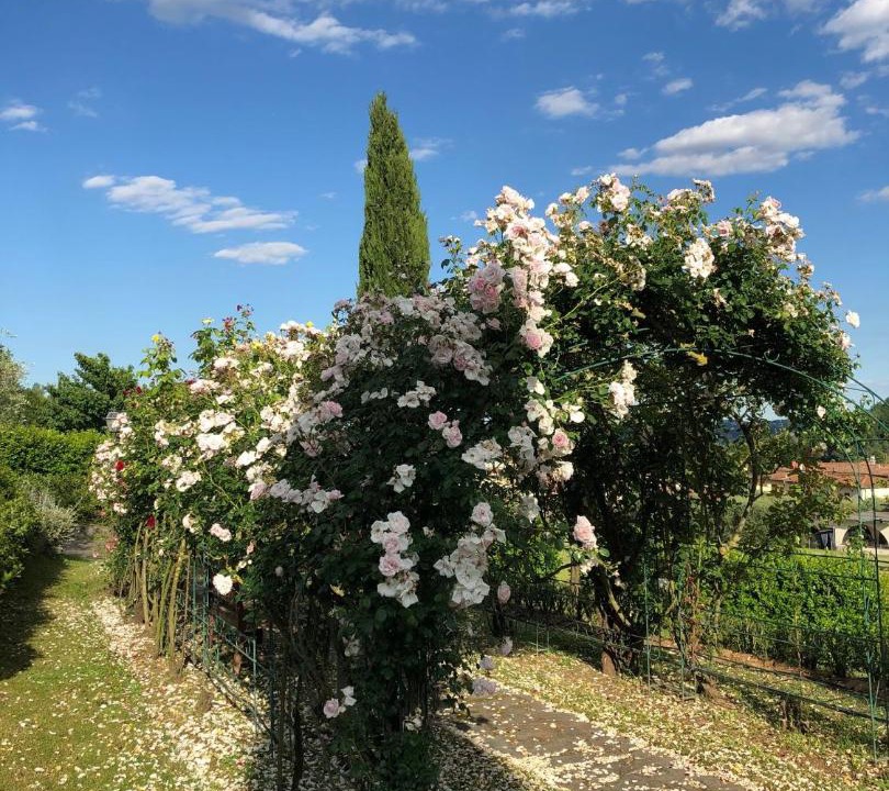 Photo of Outdoor in Cascine-La Croce