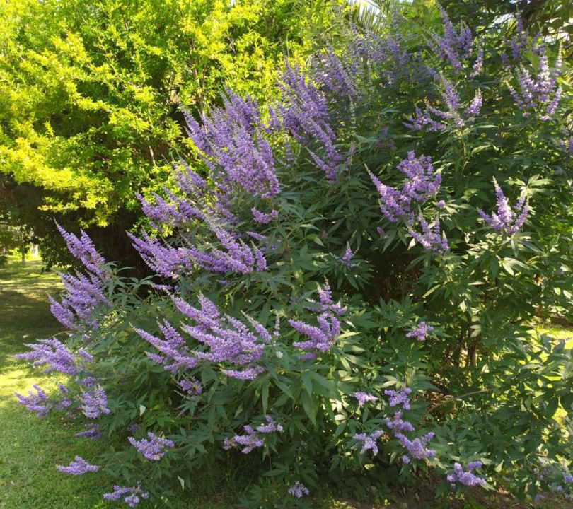 Photo of Outdoor in Massa