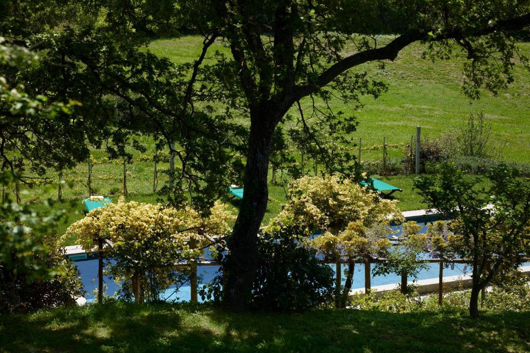 Photo of Others in La Foce