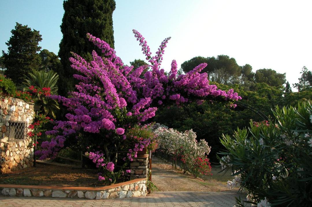 Photo of Outdoor in Capo D'arco