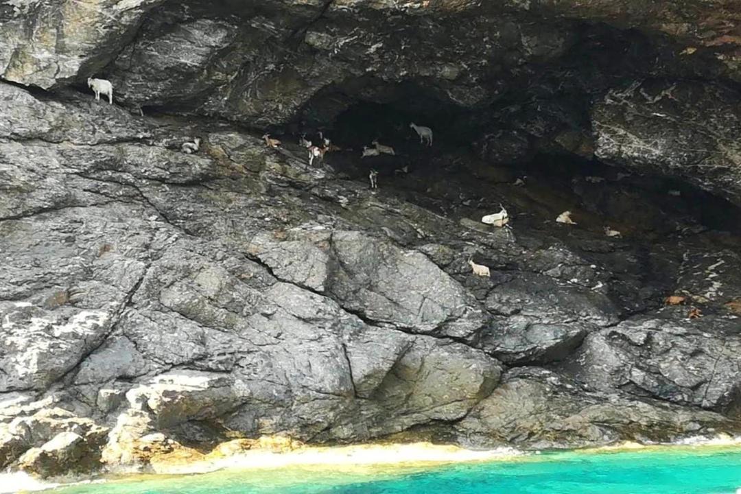 Photo of Others in Campo nell'Elba