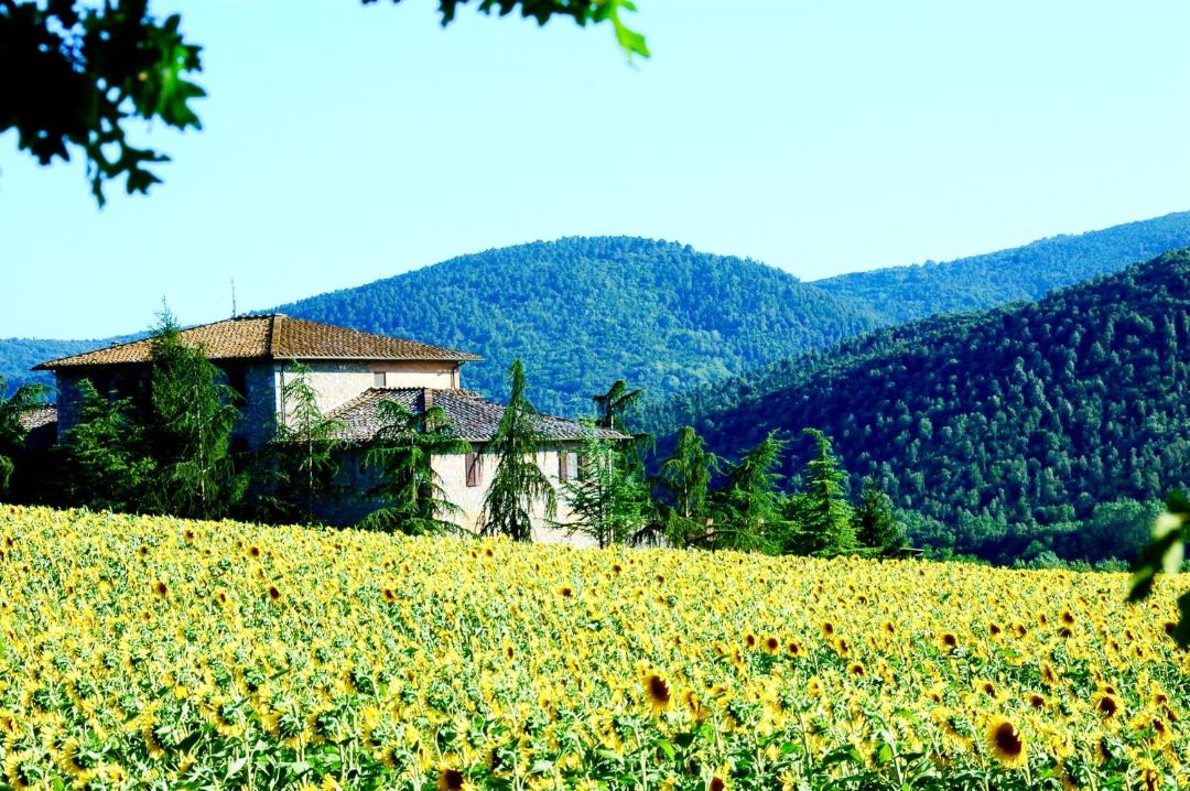 Photo of Others in Sovicille