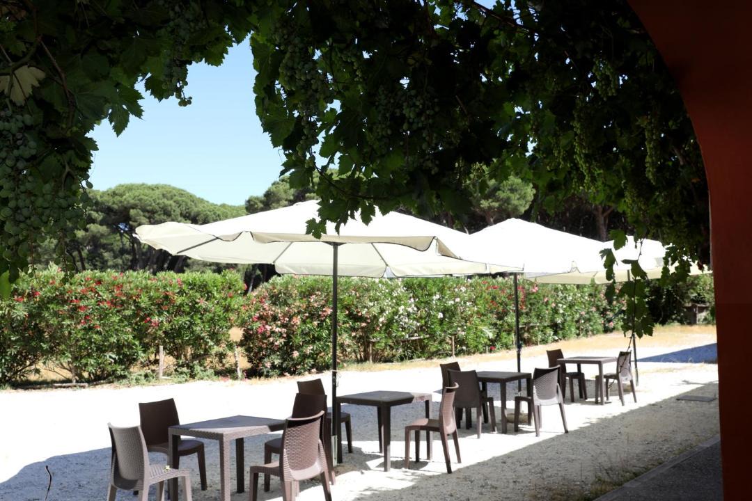 Photo of Others in San Giuliano Terme
