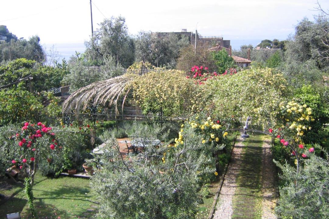 Photo of Others in Sorrento Historic Centre