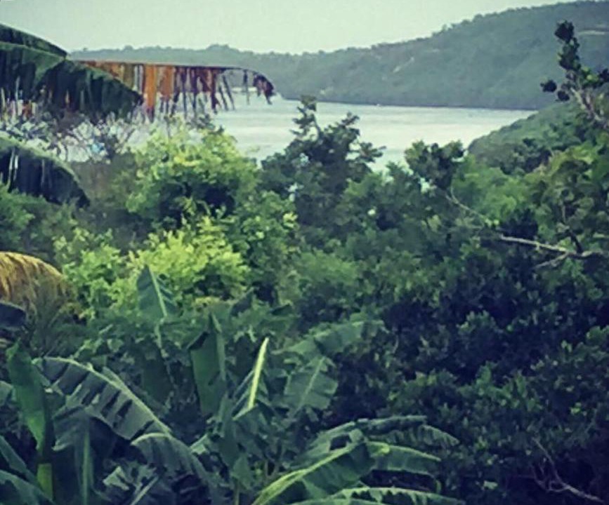 Photo of Outdoor in Mushroom Bay